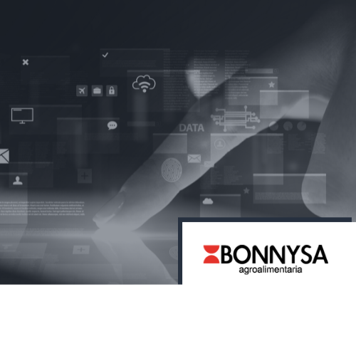Data Lake – Bonnysa