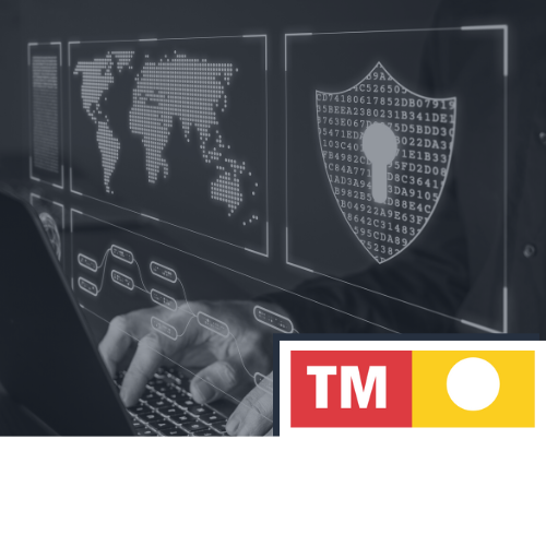 Cybersecurity – TM Grupo Inmobiliario